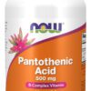 A bottle of pantothenic acid 5 0 0 mg