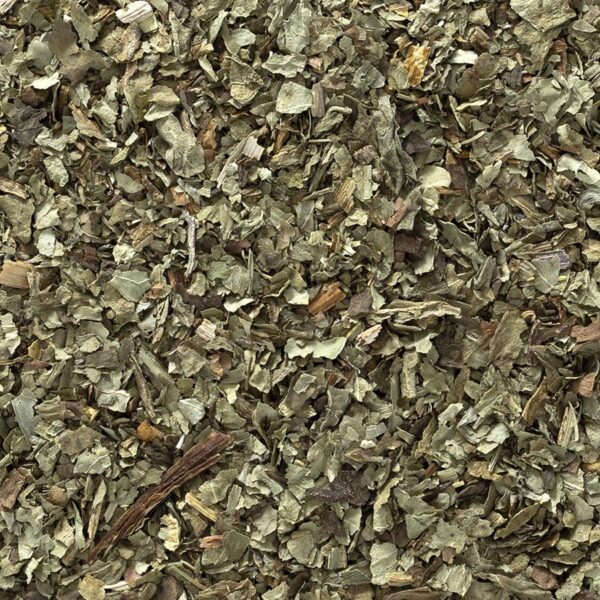 A close up of the ground with many different types of leaves.